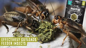 Arcadia InsectFuel