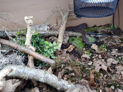 69801201_10156926881328439_4486033614856781824_o