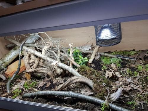 70149578_10156926879383439_2838316372918796288_o