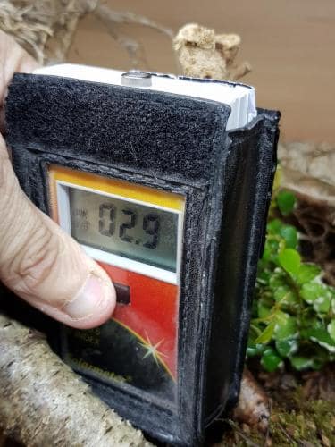 70504673_10156926885908439_7578864183458922496_o