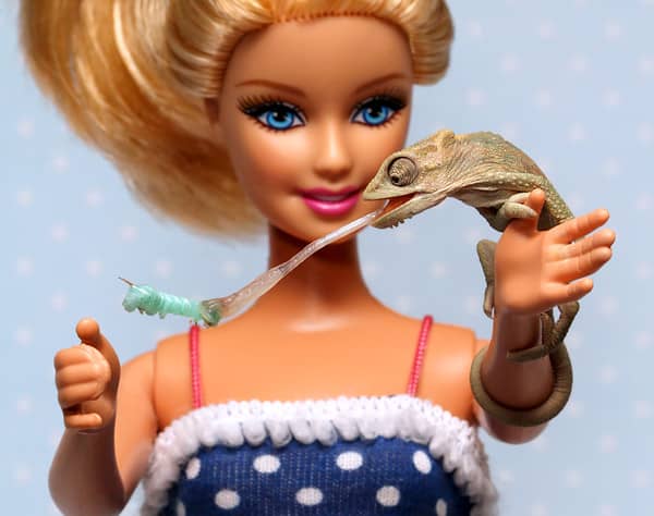 Barbie Enclosures! - The Reptile Networks 