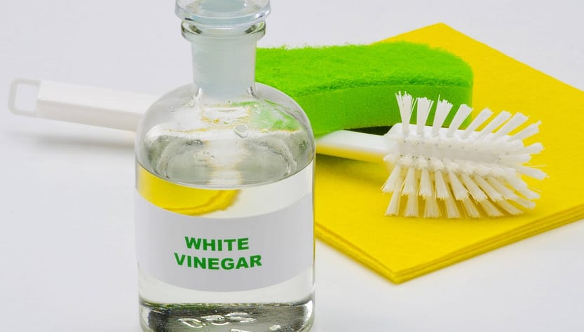 Cleaning snake cage with vinegar hot sale