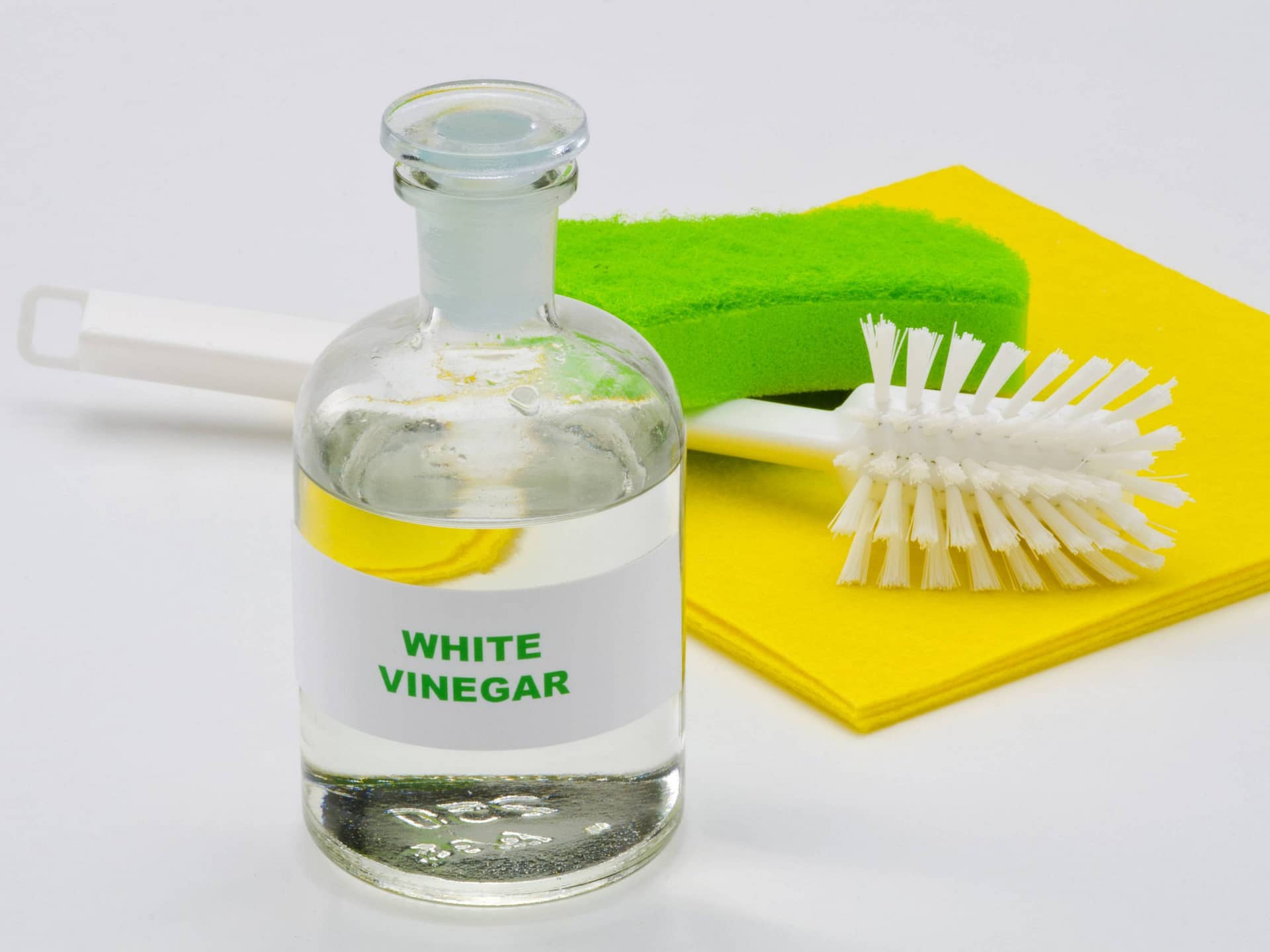 Cleaning reptile tank with vinegar shop