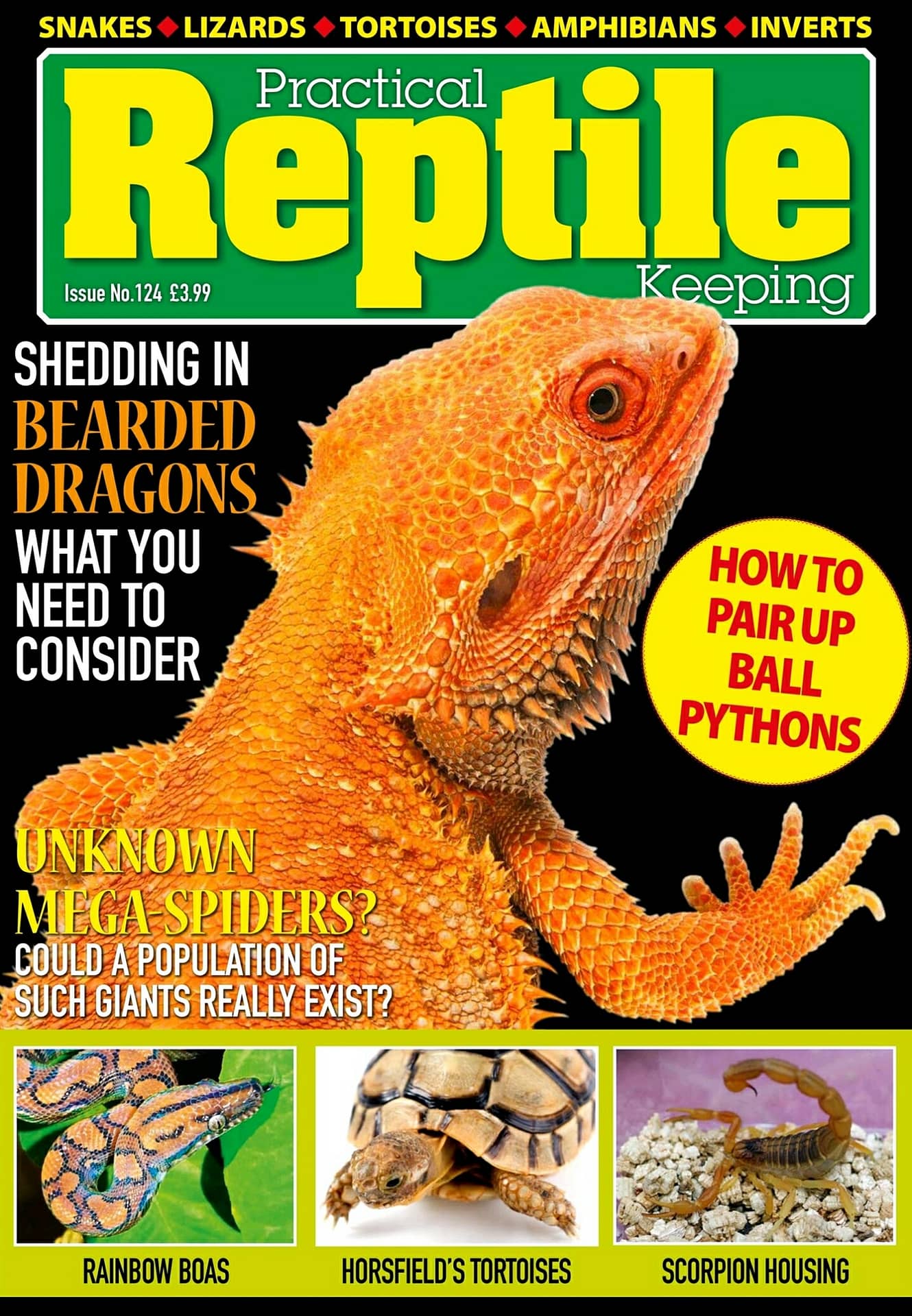 Another Feature Article In 'Practical Reptile Keeping' Magazine - The